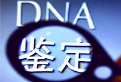 贵阳哪家医院能做DNA鉴定，贵阳医院做DNA鉴定基本的流程