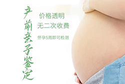 怀孕了贵阳如何做产前亲子鉴定，在贵阳刚怀孕办理亲子鉴定准确吗