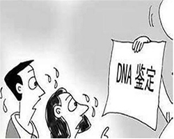 贵阳中医院能做DNA亲子鉴定吗，贵阳医院做亲子鉴定详细流程